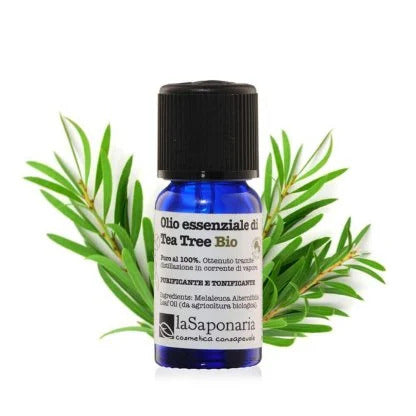 Olio essenziale di tea tree Bio