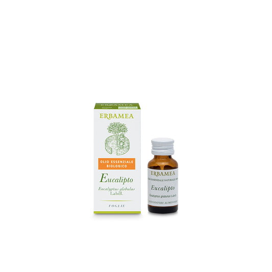Olio essenziale di Eucalipto Bio 10ml