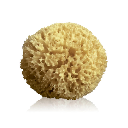 Spugna naturale 10cm