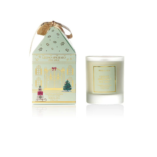 Candela Joy Home Legno Speziato 210g